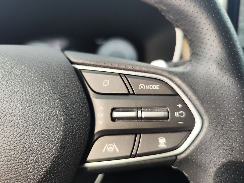 Hyundai Santa Fe 2.2 TDCI/142kW Style Premium - fotka 30 z 38