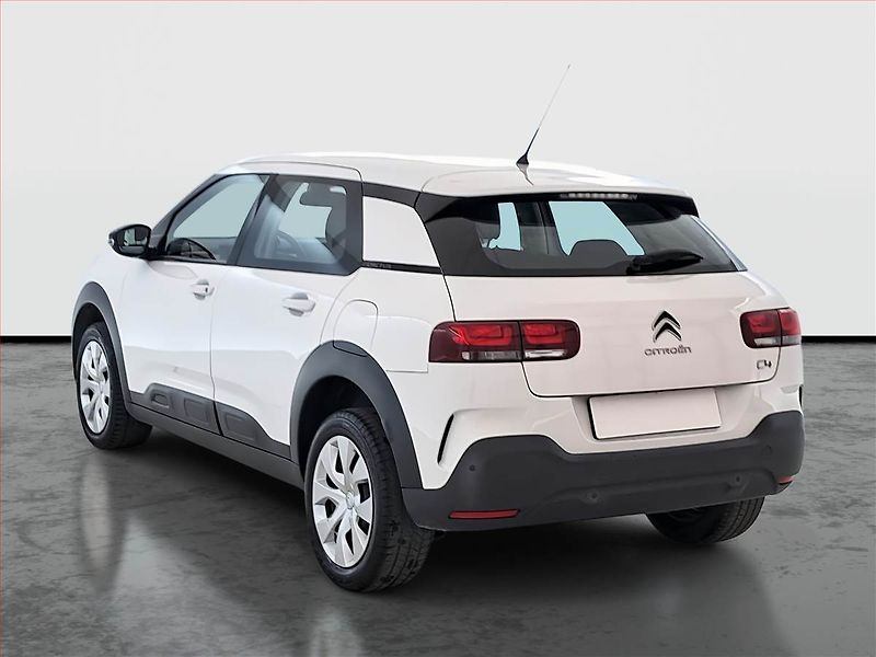 Citroën C4 Cactus (2019) 1.2 PureTech, ČR,1.maj - fotka 4 z 17