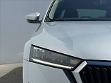 Škoda Octavia 2,0 TDI DSG Ambition Plus LED - náhled 21