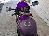 Suzuki GSX-R750 - náhled 8