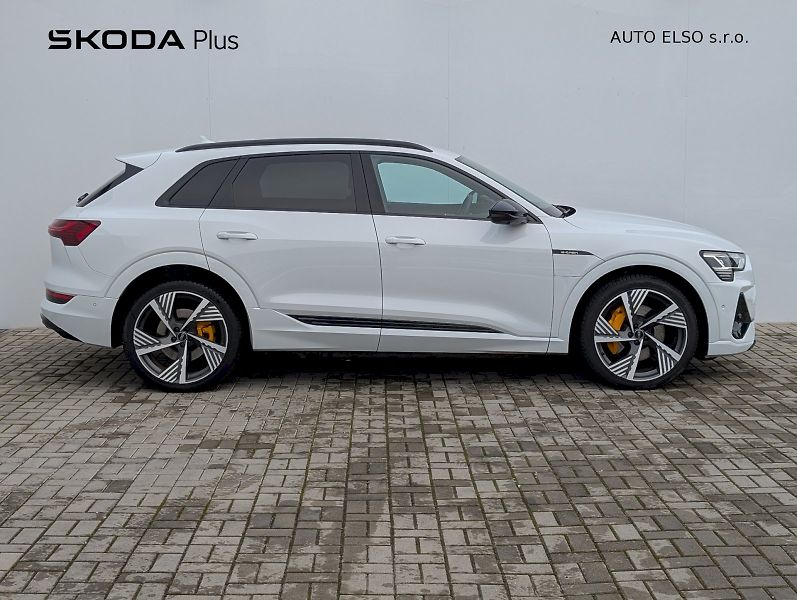 Audi e-tron (2021) S-Line 55 Quattro - fotka 29 z 30