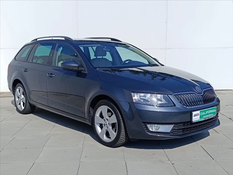 Škoda Octavia 1,6 TDi 4x4 Navi,Kůže,Aut.klim - fotka 5 z 36