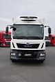 MAN TGM (2020) 18.290 / EURO 6 / CHŁODNIA + W - náhled 14