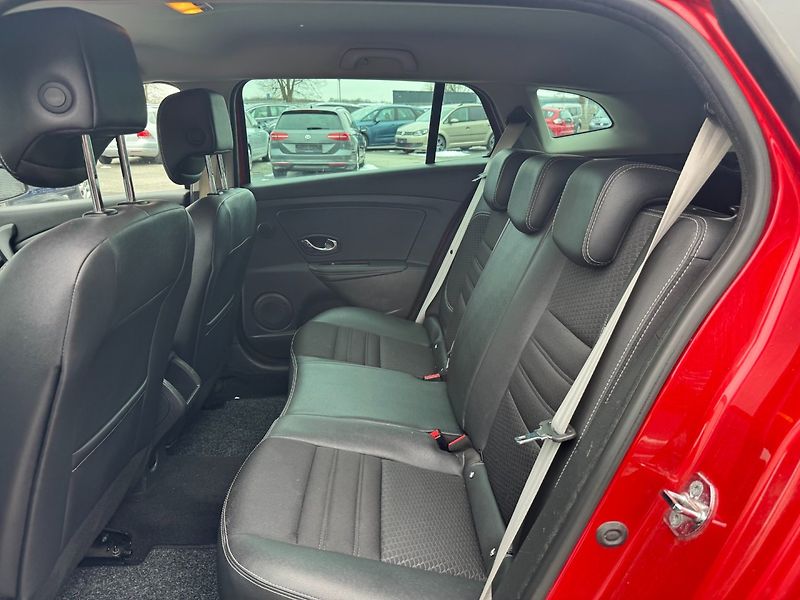 Renault Mégane (2016) 1,6 Dci 96 KW BOSE - fotka 14 z 28