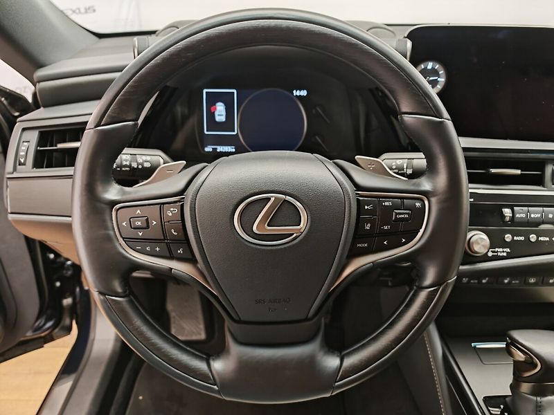 Lexus ES 300h Prestige Plus - fotka 34 z 49