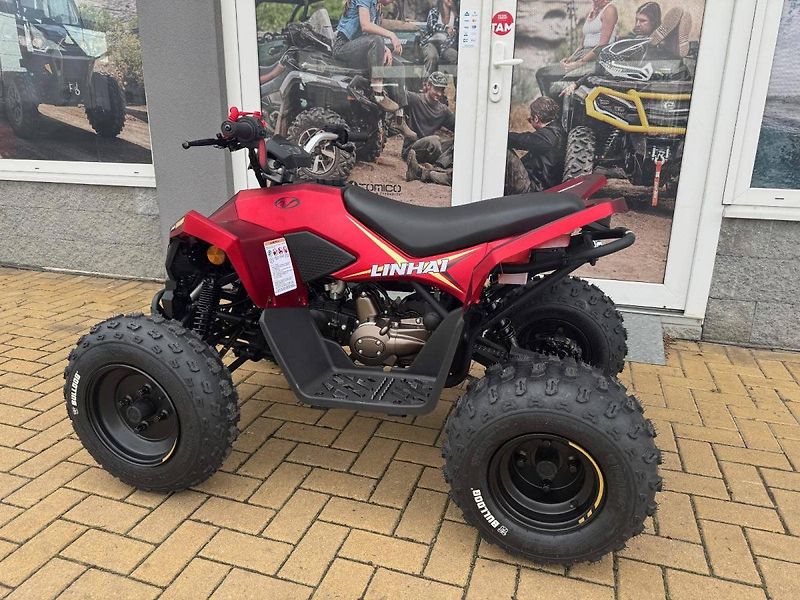 Linhai (2026) ATV 110 - fotka 5 z 6