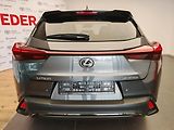 Lexus UX 300h 300h 4x2 F Sport Design - náhled 7