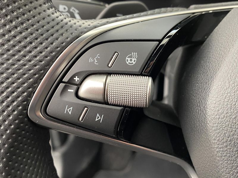 Škoda Kamiq 1,0 TSI 85kW DSG Monte Carlo - fotka 19 z 27