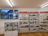 Kouzlo podzimu v Alpách. Tyrolsko hraje všemi barvami: Innsbruck, Muttereralm, Leutascher Geisterklamm, Swarovski Kristallwelten ve fotogalerii Deníku