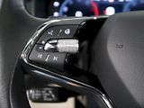 Škoda Kodiaq (2021) L&K 2.0TDI 147KW 4x4 DSG WEBAS - náhled 24