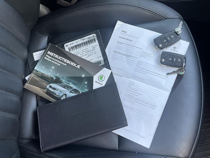 Škoda Octavia 1,5 TSi DSG/Style/servis/pneu - fotka 37 z 41