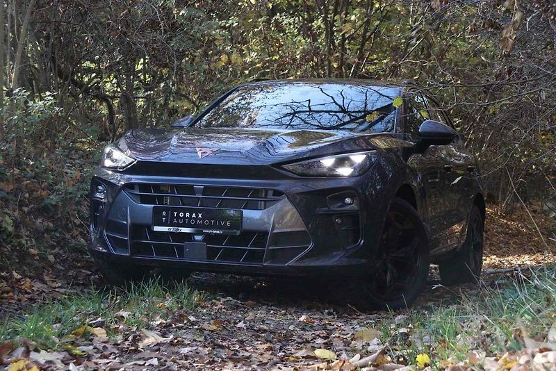 Cupra Terramar 2.0 TSI prošla testem experta Matěje Myšky.