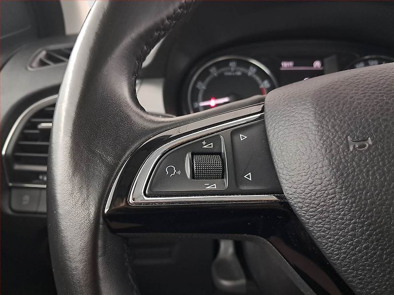 Škoda Fabia (2019) 1.0 TSI, ČR,1.maj, Tempomat - fotka 15 z 18