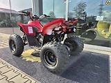 Linhai ATV 100 LH (2026) ATV 110 - náhled 60