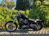 Harley-Davidson XL 1200N Sportster 1200 Nightster (2009) AKČNÍ CENA - náhled 6