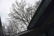 Ve výbavě bylo také panoramatické střešní okno