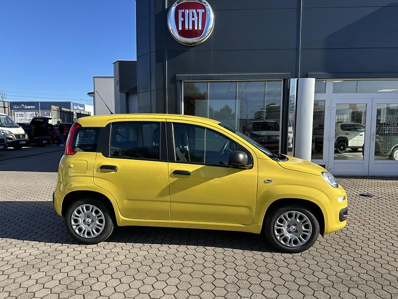 Fiat Panda (2026) Pop 1.0 BSG Hybrid 65k MT6 - fotka 8 z 18