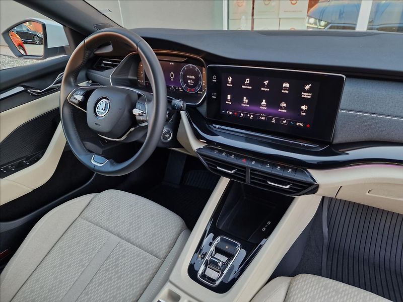 Škoda Octavia 2.0 TDI DSG Style,ČR,1.Maj - fotka 40 z 50