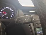 Škoda Rapid (2013) 1.6 TDI, ČR,1.maj - náhled 17