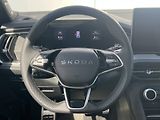 Škoda Kodiaq (2026) Sportline 7DSG 4x4 2,0TDI - náhled 10