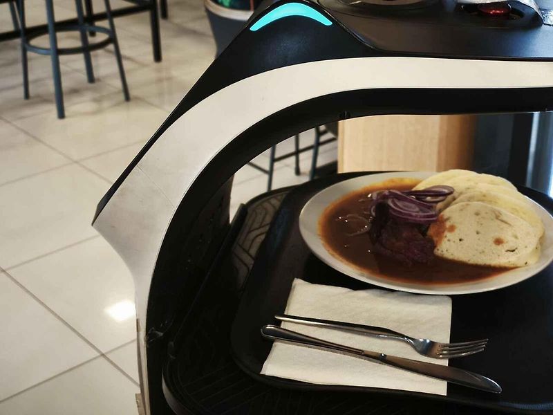 V Bistru Bonfood vládnou kočičí roboti.