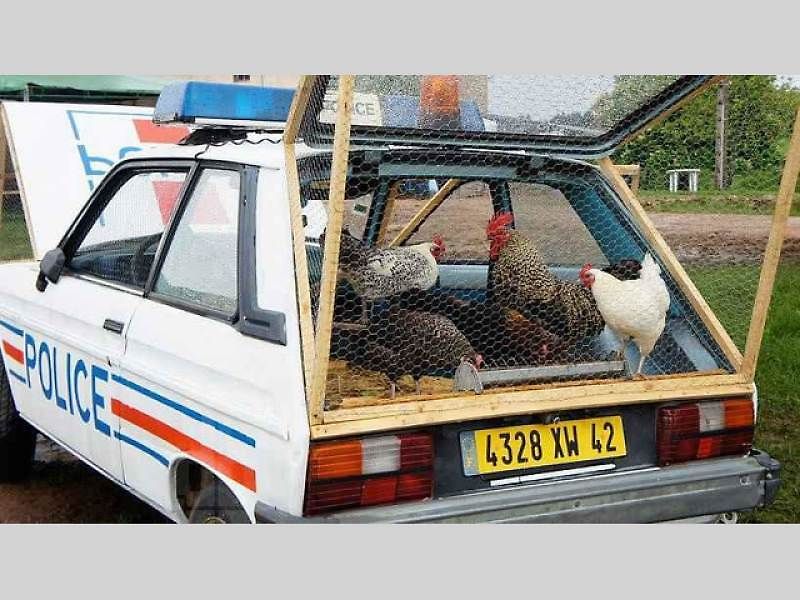 Pec na pizzu z Fordu Mondeo Combi.