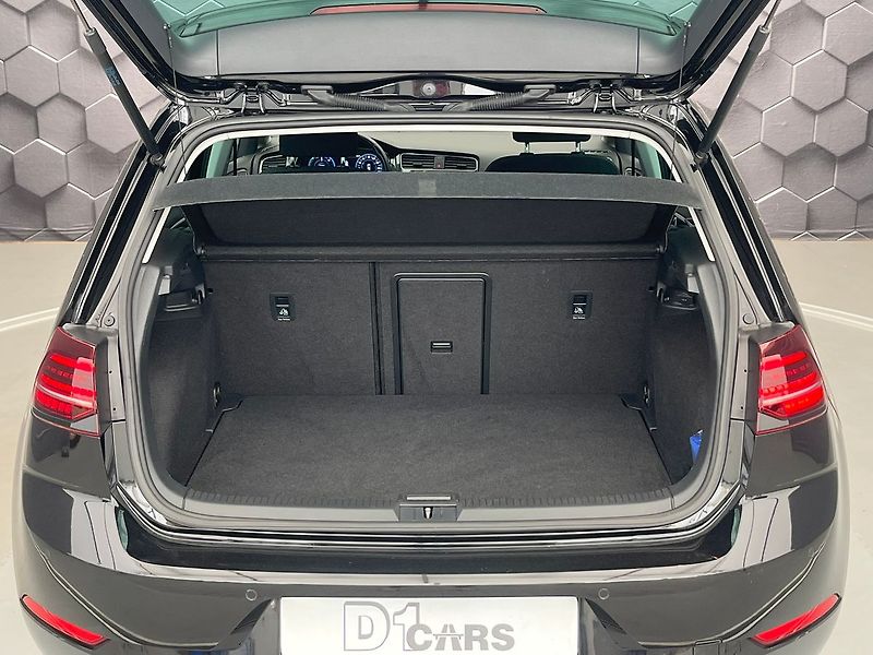 Volkswagen e-Golf 93,1% SoH, tep.čerp. virtual k - fotka 46 z 95