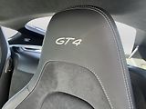 Porsche Cayman (2020) GT4 - náhled 21