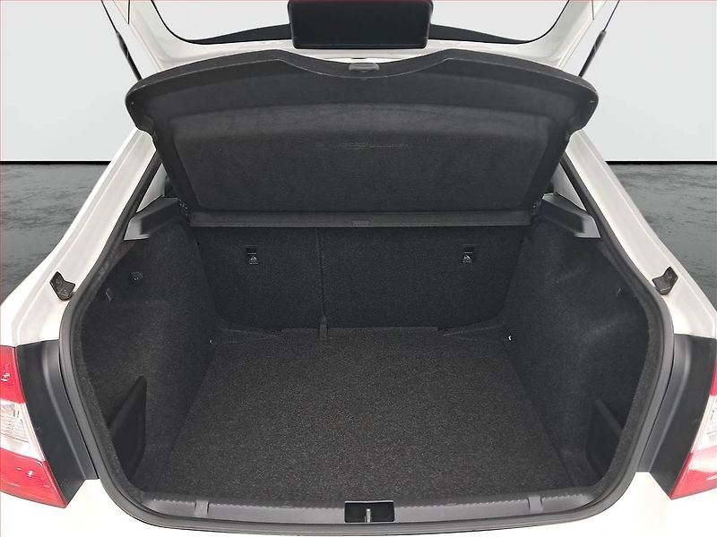 Škoda Rapid (2017) 1.4 TDI - fotka 13 z 17