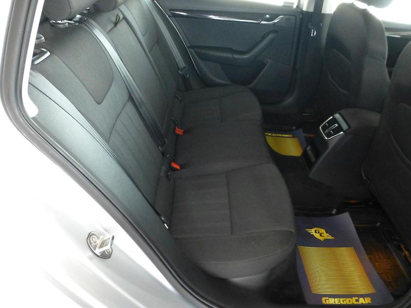 Škoda Octavia (2017) 2,0TDI*NAVIGACE**ALU**PARK.S - fotka 22 z 26