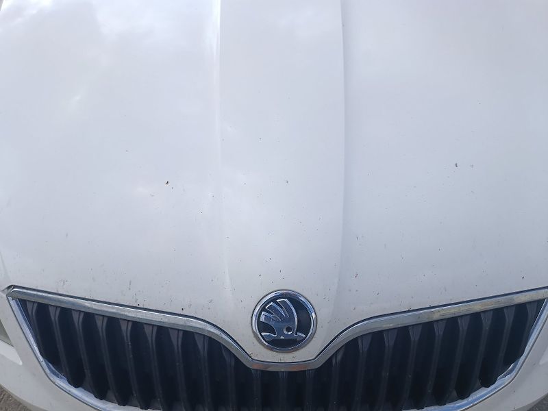 Škoda Octavia III 1.6 TDI - fotka 17 z 45