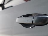 Škoda Superb 2,0 TDI DSG ACC DCC Kamera LED - náhled 50