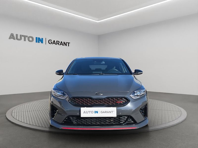 Kia Ostatní (2019) GT 1.6T-GDi 150kW, Serv.kniha - fotka 2 z 27