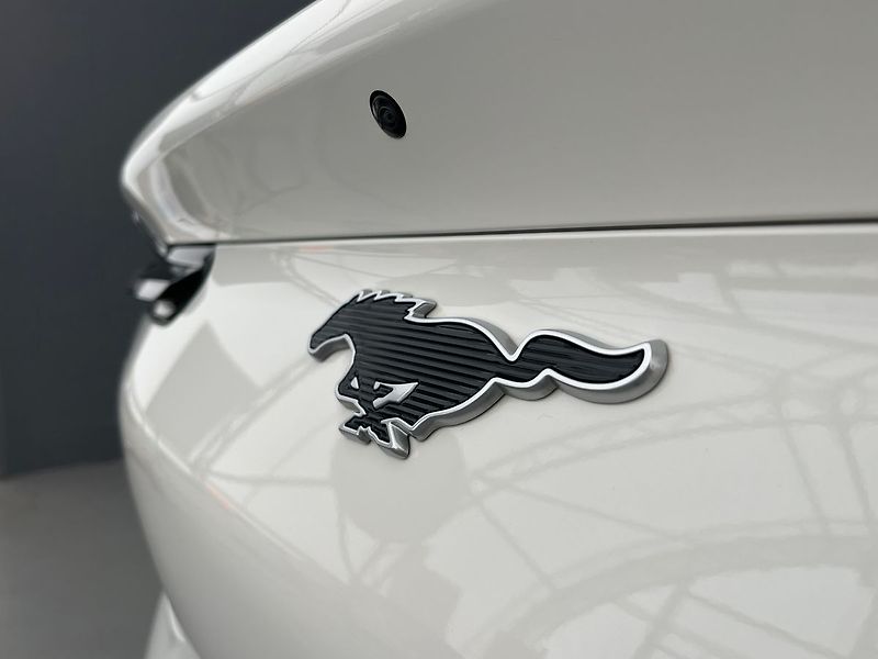 Ford Mustang Mach-E SoH 94,5 %, po servisní prohlí - fotka 37 z 68