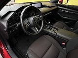 Mazda 3 (2019) 2.0L SKYACTIV-G * ČR * 1.Maj.  - náhled 7