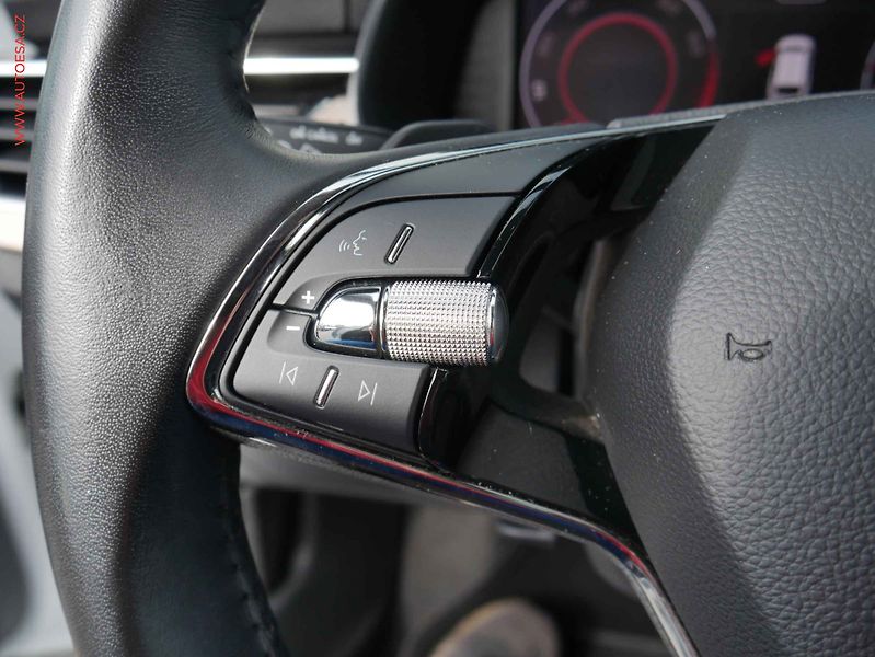 Škoda Scala (2020) 1.5TSi, ČR, DSG, bixen, park - fotka 13 z 17