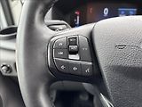 Ford Transit 2,0 EcoBlue 96kW L3 DPH - náhled 25