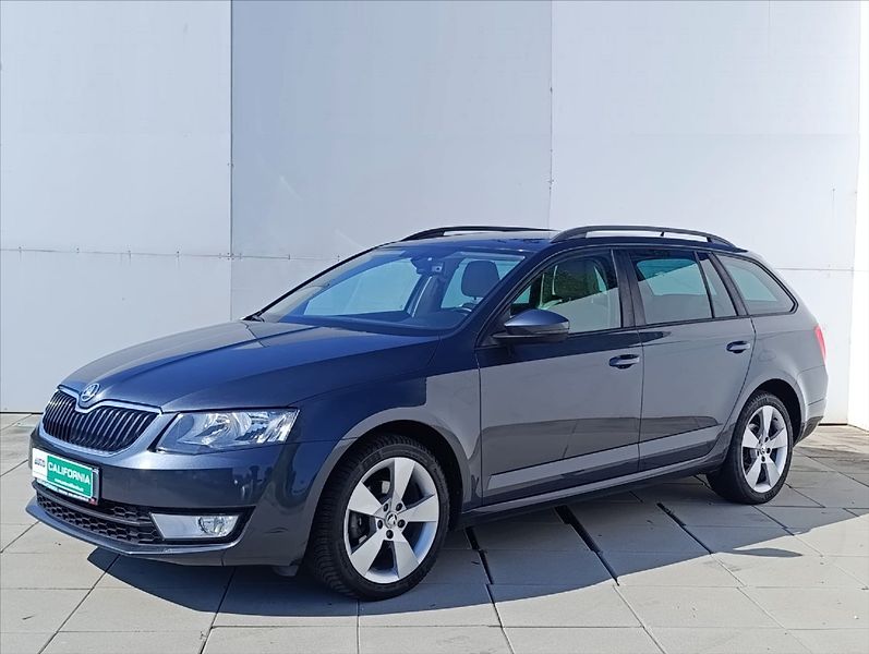 Škoda Octavia 1,6 TDi 4x4 Navi,Kůže,Aut.klim - fotografie inzerátu