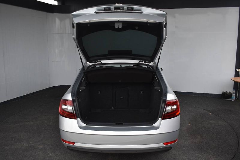 Škoda Octavia (2018) 2.0TDI 110kW, LED, nez. topení - fotka 10 z 25