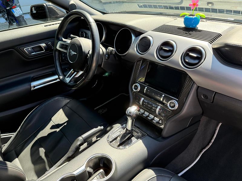 Ford Mustang (2018) GT5.0 AT FACELIFT SHELBY paket - fotka 9 z 14