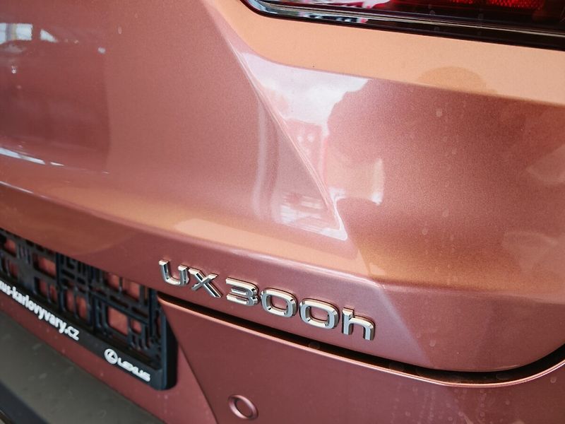 Lexus UX 300h F Sport Design 300H - fotka 11 z 44