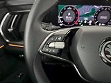 Škoda Kodiaq (2024) 2.0TDI 142kW Exclusive Selectr - náhled 9