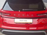 Škoda Kodiaq (2024) SELECTION 4X4 TD 142/2.0 A7A - náhled 14
