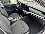 Škoda Octavia (2021) 2.0TDi 110kW 4x4 DSG LED - náhled 18