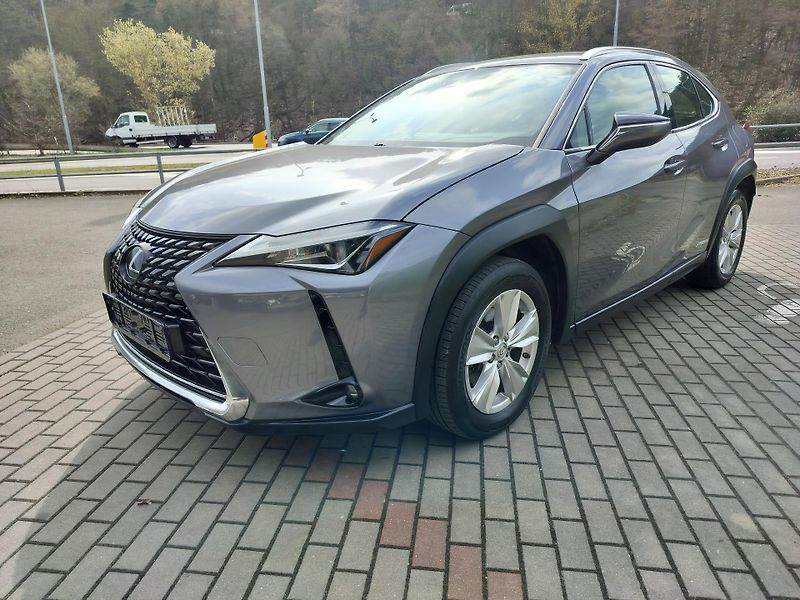 Lexus UX 250h BUSINESS edition,alcantara - fotka 3 z 24