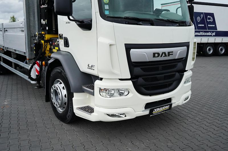 DAF LF (2014) 250 / SKRZYNIOWY + HDS / HYVA  - fotka 26 z 56