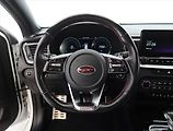 Kia Pro_Ceed (2019) GT 1.6 T-GDI, Automat - náhled 19