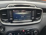 Kia Sorento 2.2 CRDi Platinum 4x4 Automat - náhled 26