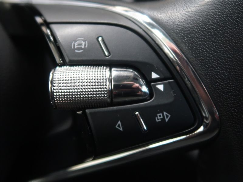 Škoda Octavia 2,0 TDI DSG 1.majitel CZ - fotka 20 z 34