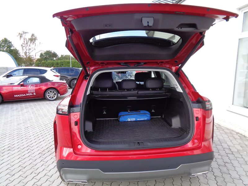 Jaecoo 7 1,6 TGDI 7 AT, 4x4, Exclusive - fotka 28 z 39